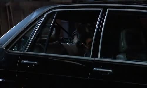 American Yakuza (1993) - cz mp4