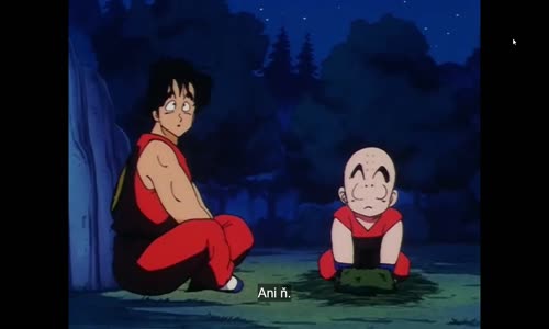 (CZ TIT) Dragon Ball - 131 mp4