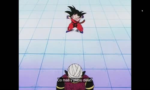 (CZ TIT) Dragon Ball - 125 mp4