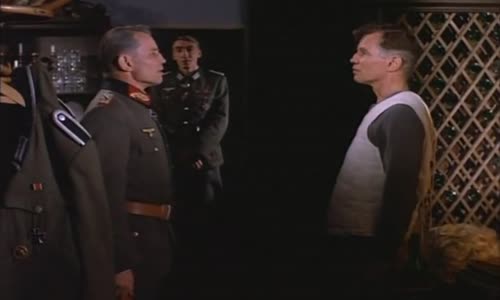 Noc lišky cast 1 (1990) -cz mp4