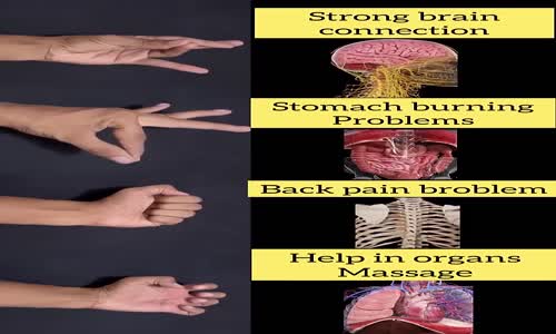 Hand exercises for organs  mp4