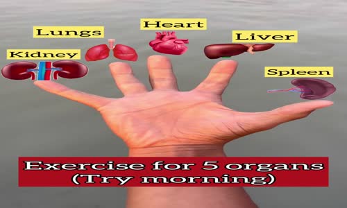 Organ Exercise   mp4