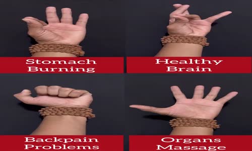 Organ exercise mp4