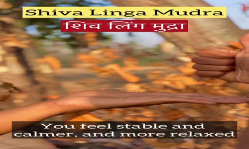 Shiv linga mudra   mp4