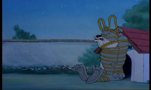 TOM_A_JERRY_CZ AVI