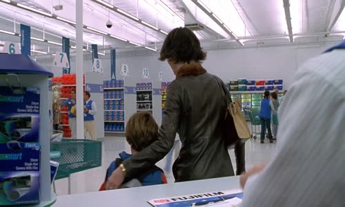 Expres foto - (Hrají Robin Williams, Connie Nielsen)(2002) CZ dab mkv
