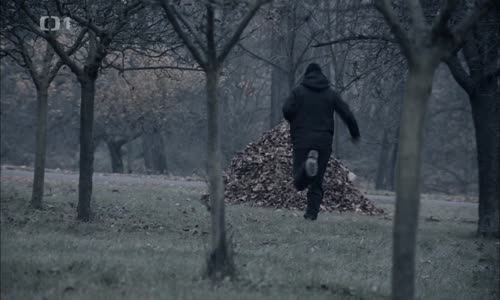 Cirkus Bukowsky - 05 (2014) (1080p) mp4