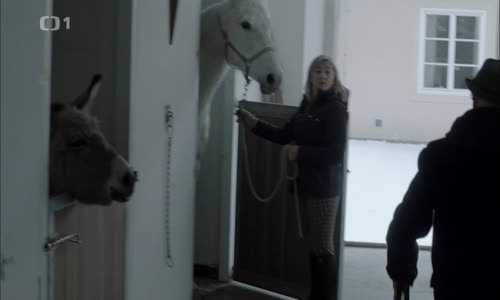Cirkus Bukowsky - 10 (2014) (1080p) mp4
