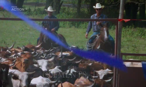 Walker Texas Ranger s03e02 cz tvrip avi