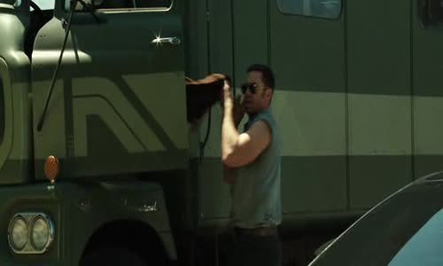 Ocelová-pěst-cz-avi avi