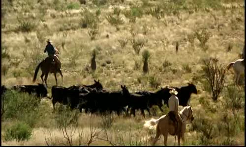 Tři pohřby (Tommy Lee Jones,Barry Pepper,Julio Cedillo-2005 Drama-Krimi-Western-Dobrodružný-M ysteriózní-Bdrip -1080p ) Cz dabing avi