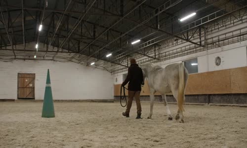 Ranč S01E07 mp4