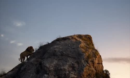 The Lion King (2019)(CZ-EN) mkv