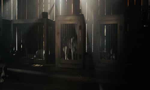 Volání divočiny (2020) AB HD WEBRip 1080p CZ titulky mkv