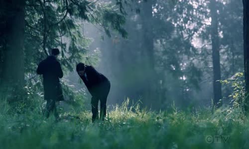 Sight Unseen 2024 S02E03 XviD-AFG avi