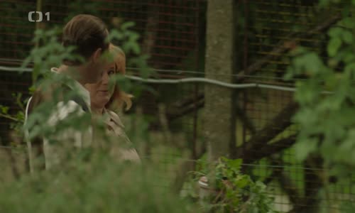 Dubček (2017) (1080p) mp4