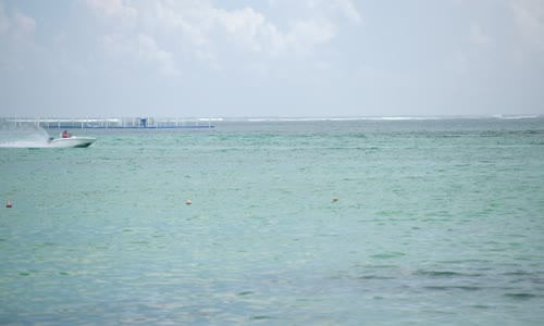 Caribbean Life_S20E15_Urobiť si radosť na ostrove Utila mp4