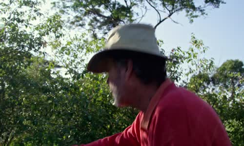 Sestry ze savany (2020) CS (1080p) mp4