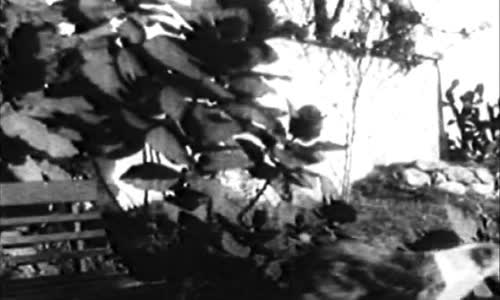 Mabel's Strange Predicament (1914) mkv