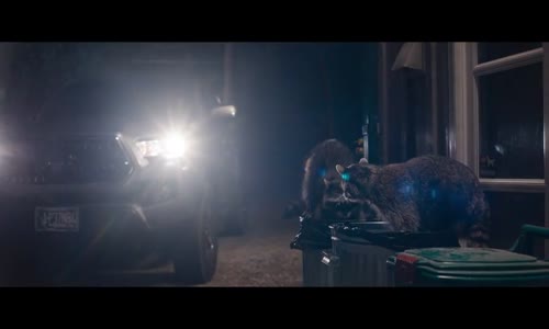Ježek Sonic CZ avi