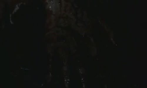 Miluji tě k sežrání (2001) Francie _ Německo, Horor _ Thriller_HD mp4