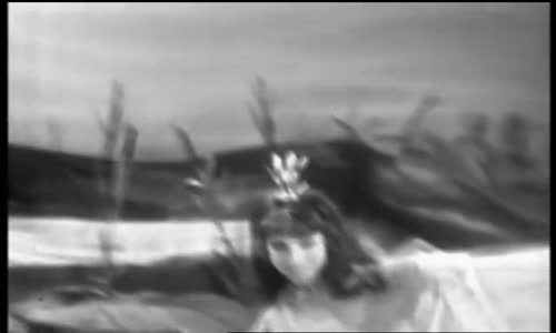 O pasáčkovi a labutích princeznách (1968, čb) avi