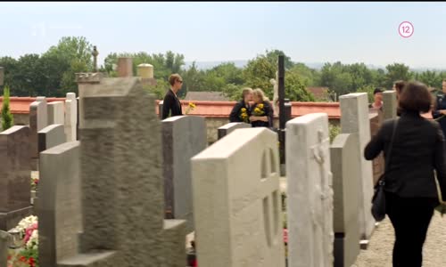 Svadobná štrúdľa a slivkové šťastie 2020 1080p WEBRip x264 SK(by Marecek) mkv
