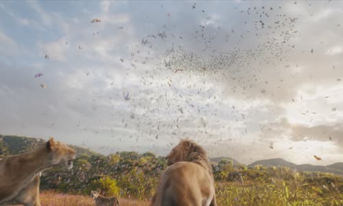 Mufasa The Lion King 2024 1080p WEB h264-ETHEL mkv