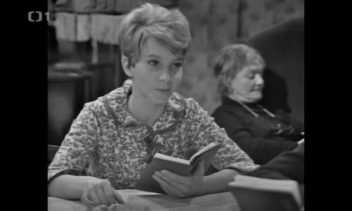 Taková normální rodinka - 5 Ženich pro tetičku (1971) (1080p) mp4