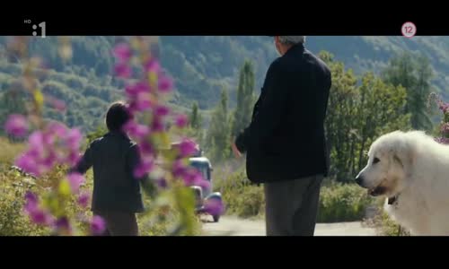 Bella a Sebastian 2 - Dobrodružství pokračuje avi
