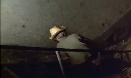 Volání Divočiny Český Dabing - Dobrodružný - Drama - Rodinný Celý Film @film mp4