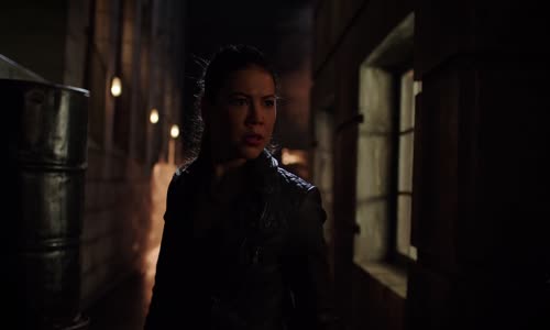 Arrow S07E17 Dědictví CZ tit (2019) mkv