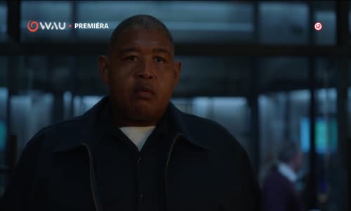 Pravdivé lži s01e10 mp4
