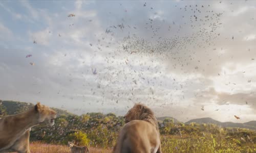 Mufasa The Lion King (2024) CZ dabing mp4