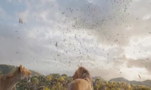 Mufasa The Lion King Mufasa Lvi kral 2024cz Macexx mp4