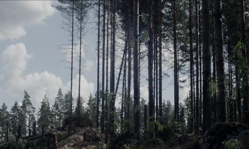 Tuntematon sotilas 2017 NORDiC 1080p BluRay x264 RAPiDCOWS mkv