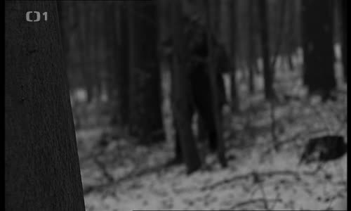 Přísně tajné vraždy - 07 Poslední cesta do práce (2010) (576p) mp4