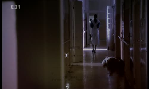 Přísně tajné vraždy - 09 Bolest plukovníka Lukase (2010) (576p) mp4