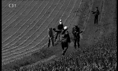Přísně tajné vraždy - 30 Poslední tanec mladé matky (2010) (576p) mp4