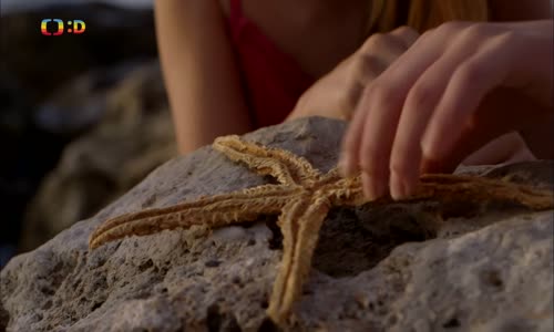 Biblická pátrání II - 01 Stvoření světa (2013) (1080p) mp4