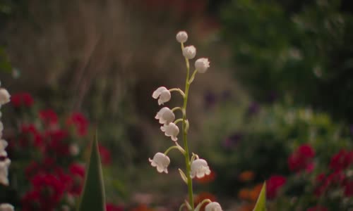 Grosse Pointe Garden Society S01E01 720p x264-FENiX mkv