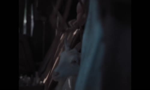 Ema a smrtihlav (2024) 1080p SK mkv