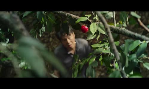 Odemčená identita (David Harbour,Jahi Di_Allo Winston,Anthony Mackie-2023 Dobrodružný-Komedie-Rodinný-Horo r-Mysteriózní-Bdrip -1080p ) Cz dabing mp4