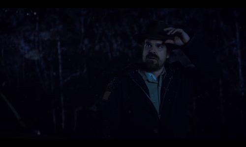 Stranger Things S02E03 - Kapitola třetí Pulec (2017) fantasy horor mysteriózní Sci-Fi thriller czdab mkv