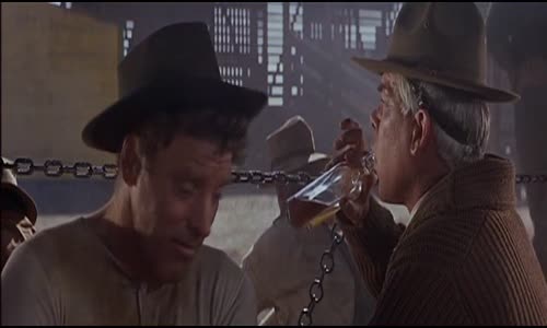 Profesionálové (Burt Lancaster,Lee Marvin,Robert Ryan-1966 Western-Bdrip -1080p ) Cz dabing mp4