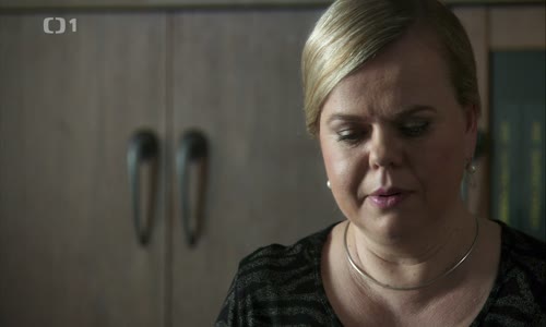 Případy 1 oddělení II - 2 Informátor (2015) (1080p) mp4