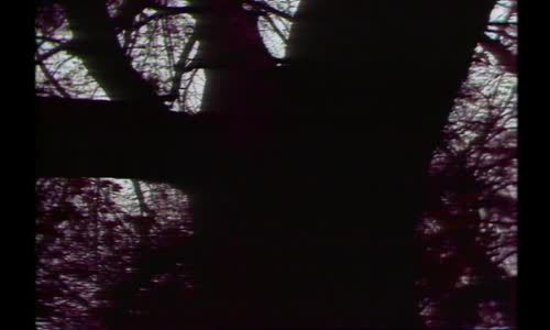 The Cure - A Forest vob
