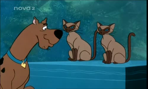 Scooby doo na stope - 1x12 - Scooby Doo a mumie mp4