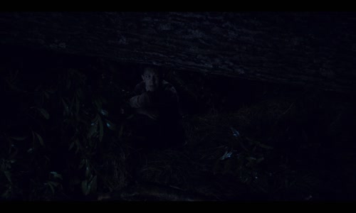 Stranger Things S02E02 - Kapitola druhá Koledu, ty exote (2017) fantasy horor mysteriózní Sci-Fi thriller czdab mkv