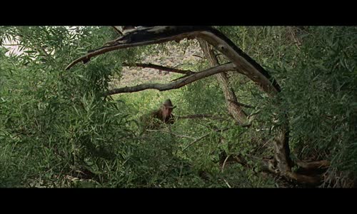 Nevada-Smith-CZ-dabing---Western,-U SA,-1966-(nejlepsi-filmy mypage cz) avi